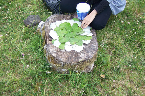 Enviro-art is about using natural materials to make something creative