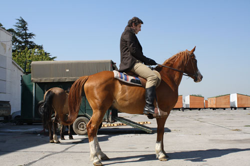 Sean O'Callaghan on horseback