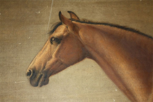 William Shiels, Connemara Gelding (detail), 1839-41, photographed by FVS Murrell. The pony was property of John Bindon Scott, of Cahireon, Galway, in the collection of National Museums Scotland.