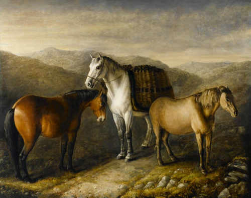 William Shiels, West Highland Ponies; the ponies were from Eriskay, Mull, and Uist. On display at the National Museum of Rural Life, East Kilbride.