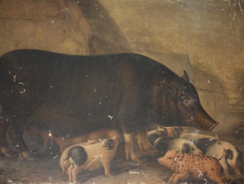 William Shiels, Siamese Sow and Piglets, 1832-38
