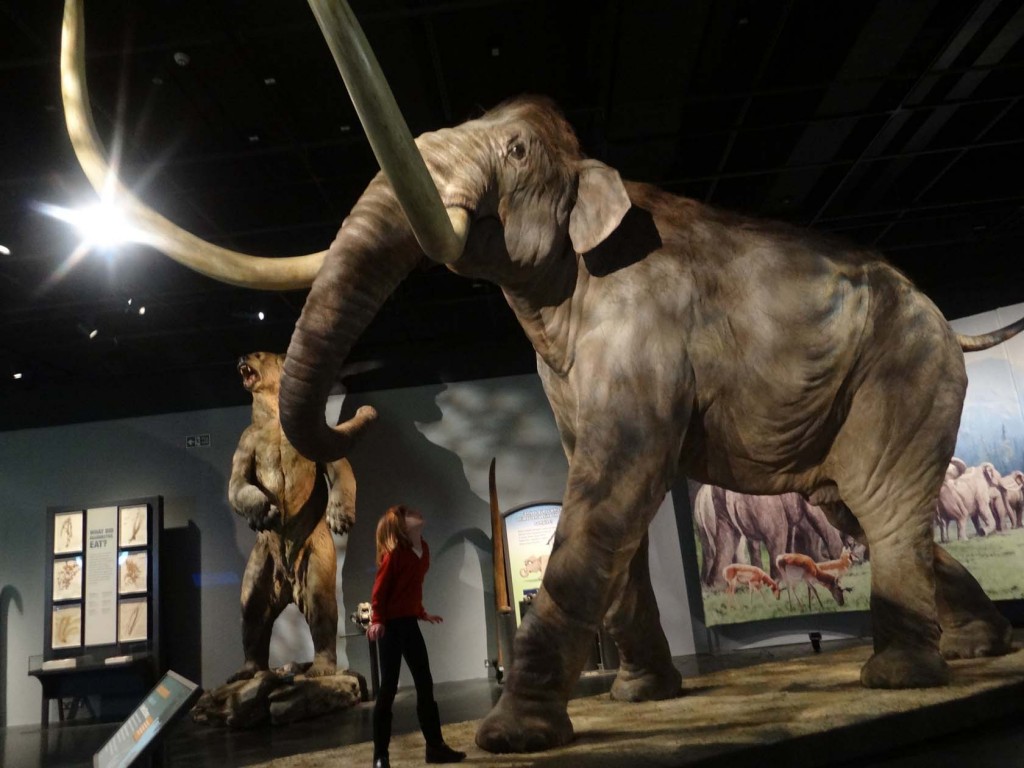 Mammoths of the Ice Age | National Museums Scotland Blog