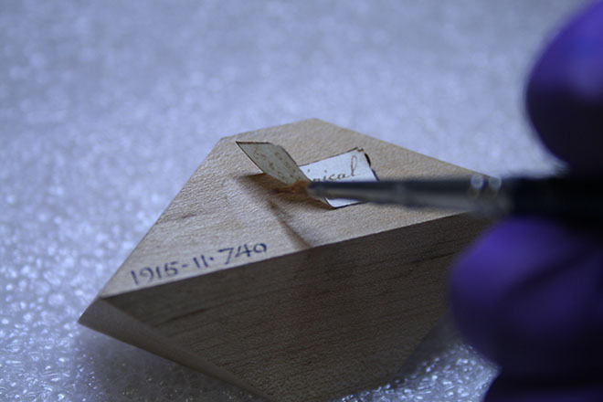 Reattaching paper label on a wooden model