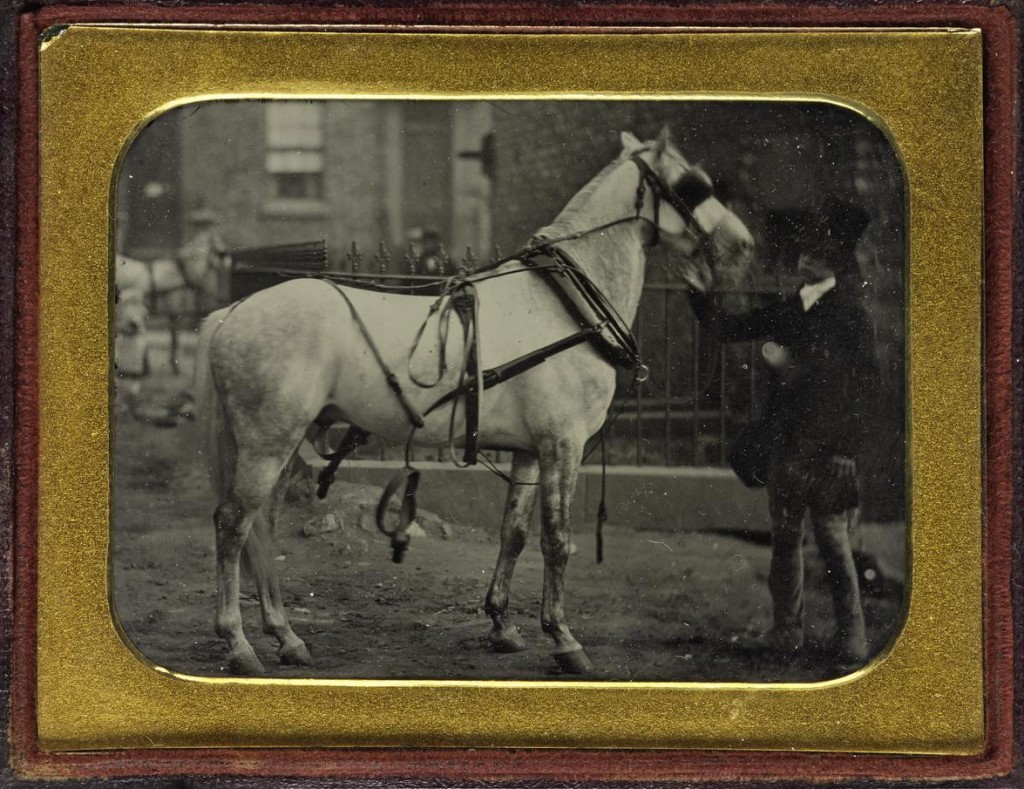 Ambrotype depicting a man holding the bridle of a grey horse in a harness, in a leather case, by The London School of Photography, 1858-1860