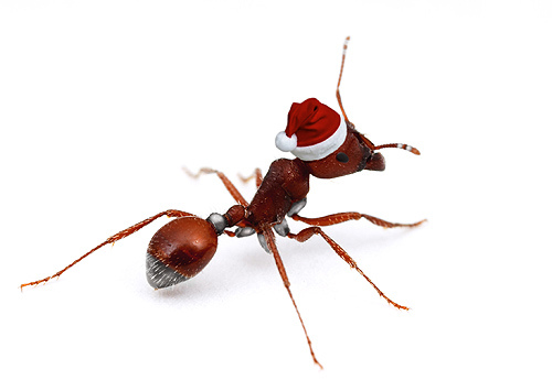 Ant Avatar