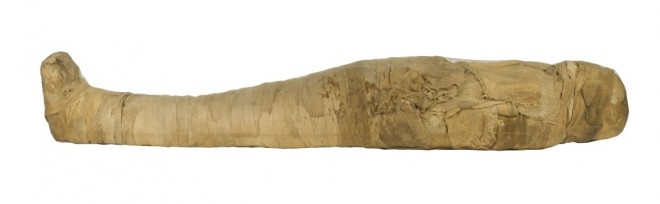 Image of the mummy of Iufenamun