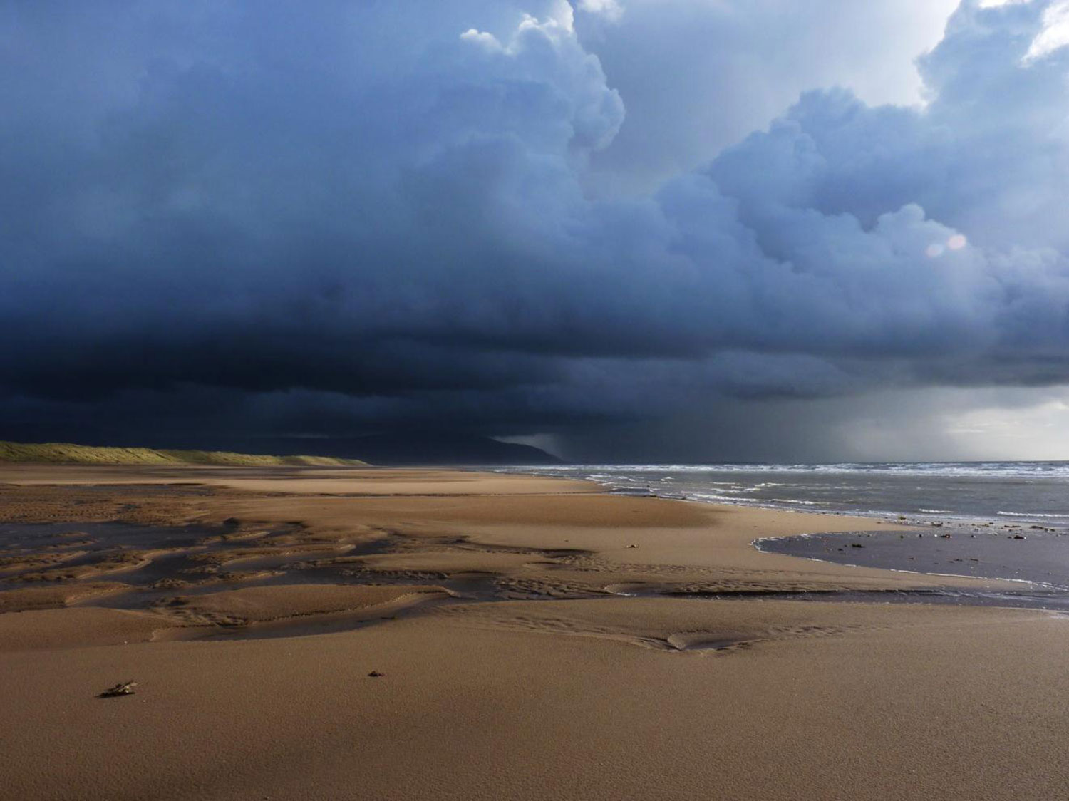 Beetling about on the beach | National Museums Scotland Blog