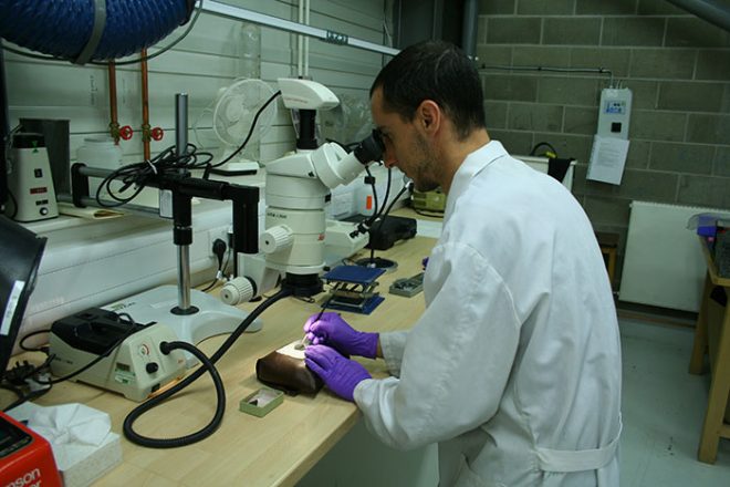 Working in the conservation lab