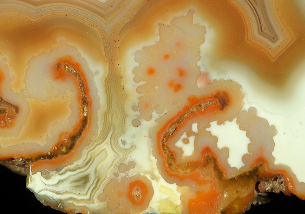 Agate photographed for the current Hidden Gems: Scotland’s Agates exhibition.