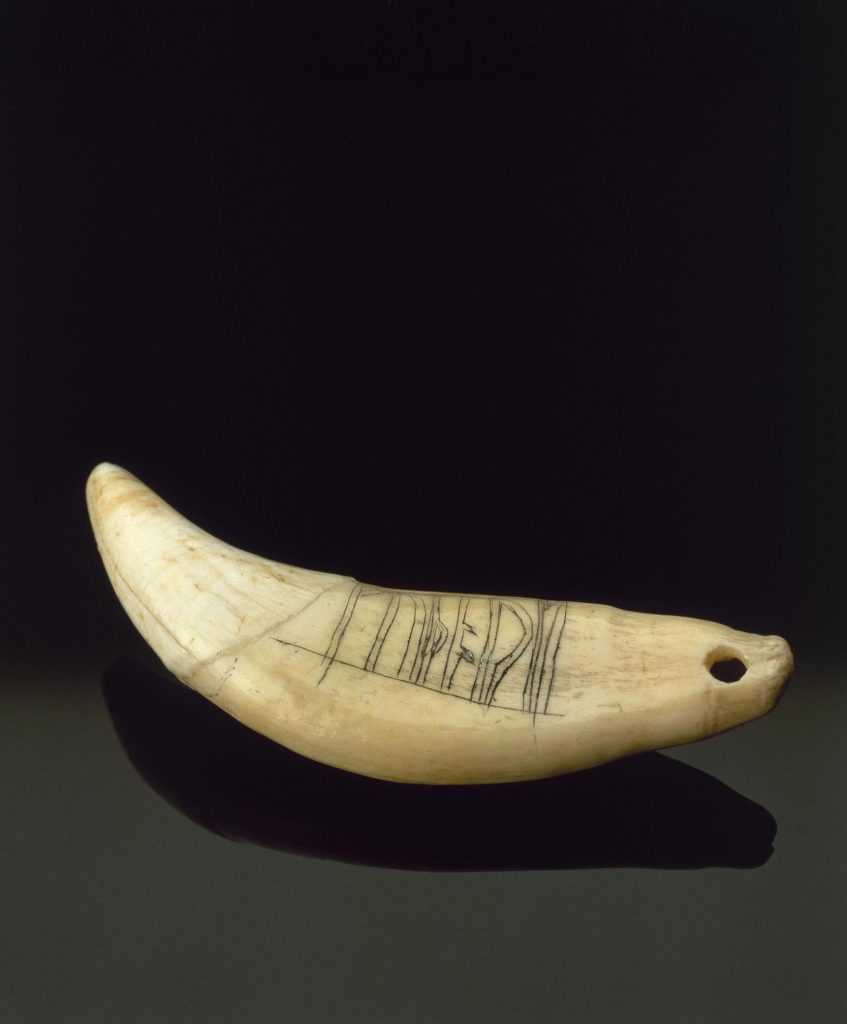 Bear tooth modified for use as a pendant, with runic inscription reading FUTHARK, from the Brough of Birsay, Orkney, AD 1000-1200.