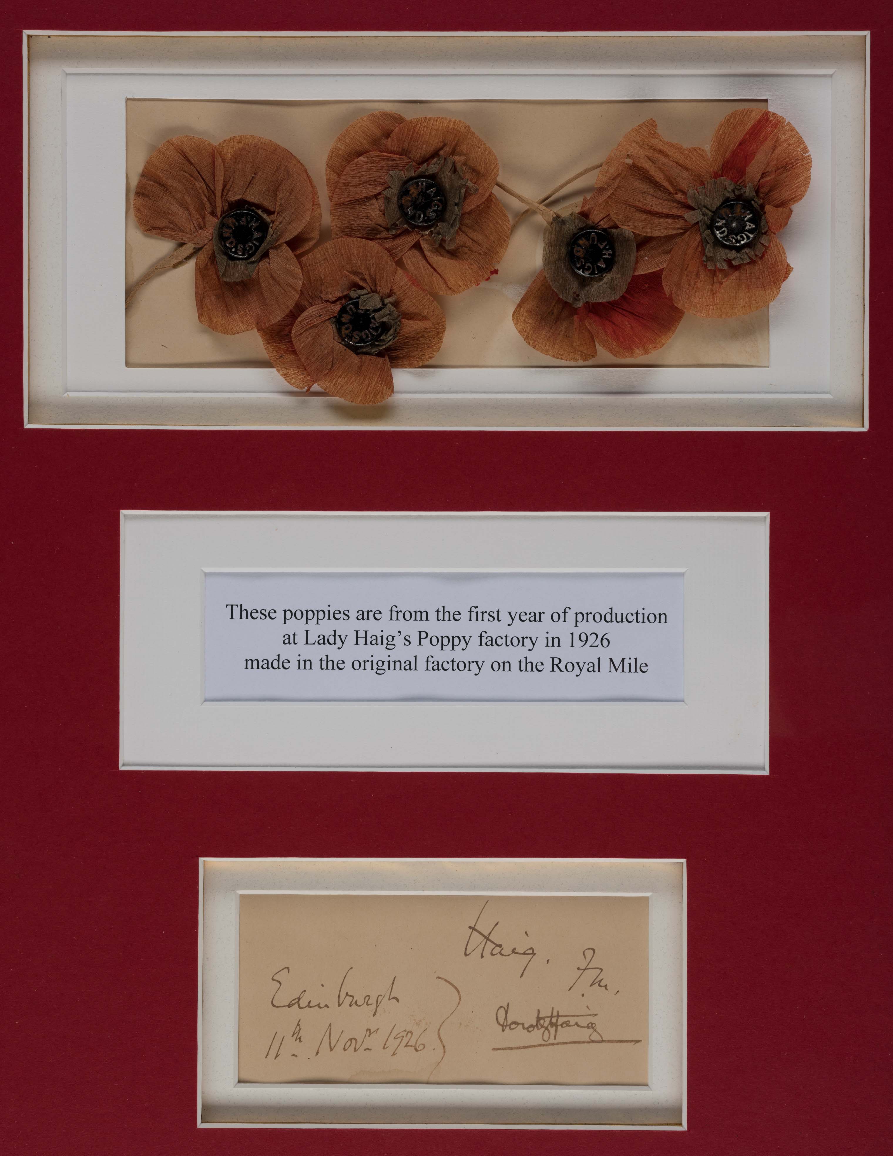 Poppies from the first year of production at Lady Haig's Poppy Factory