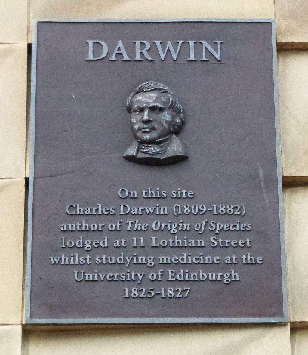 Dark plaque with a carving of a young Charles Darwin on the National Museum of Scotland, Edinburgh.