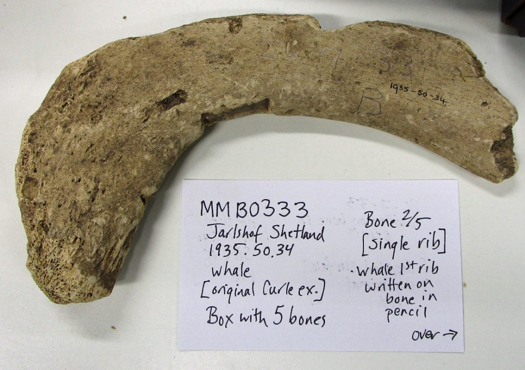 Two unidentified whale bones from Jarlshof, Shetland, sampled for ancient DNA and collagen