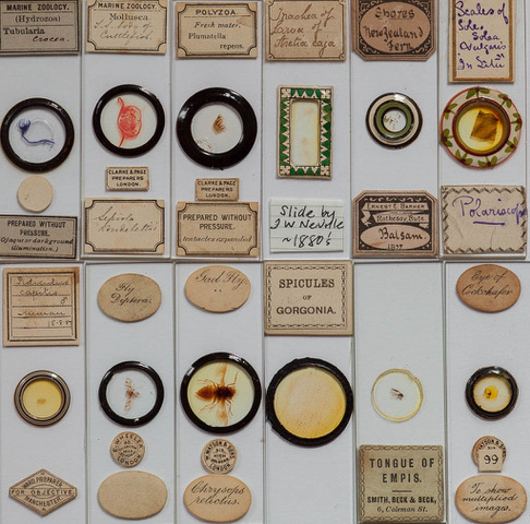 Close-up of more slides. Note that some are paper covered, others have protective ‘ringing’, with some quite ornate. Labelling can be quite descriptive and is often in copper-plate script.