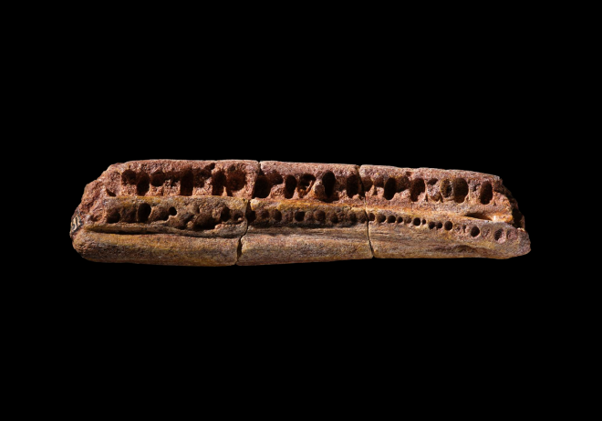 A fossil fragment of a jaw of an ancient mammal photographed against black.