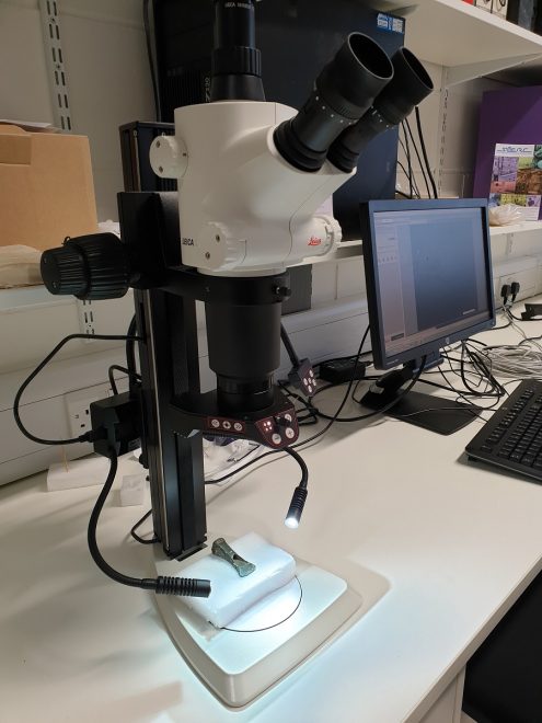 A single axehead under a powerfil-looking, black and white microscope in a lab setting.