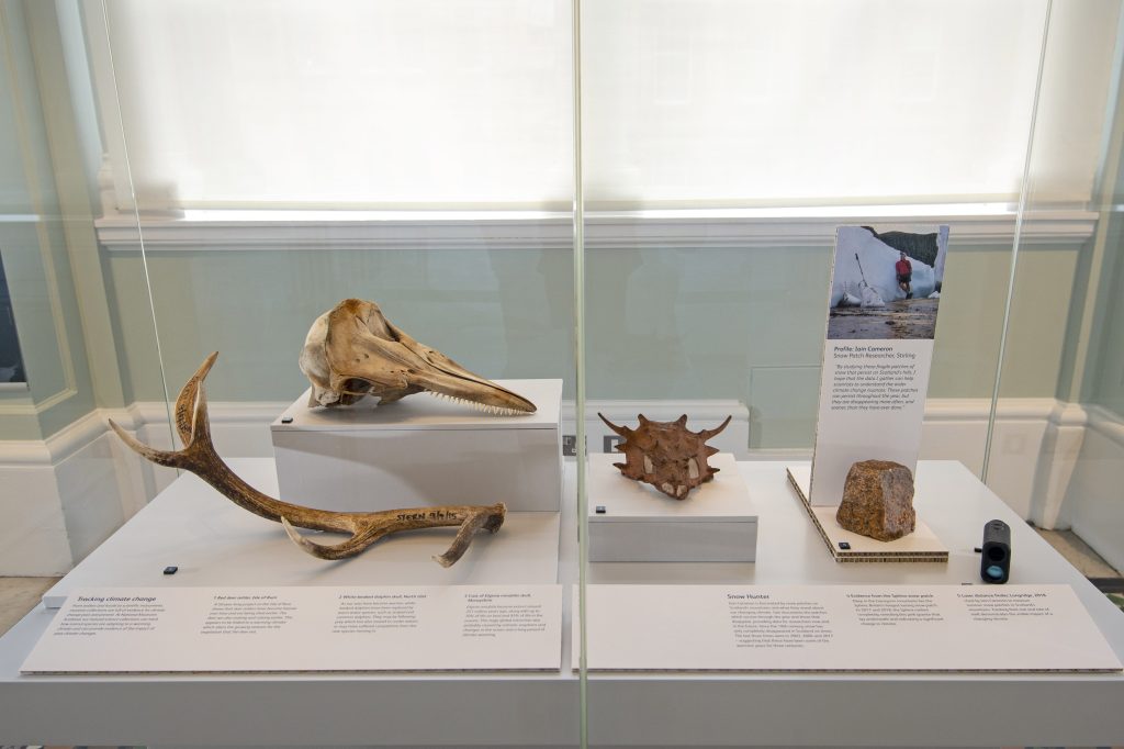 A display case with various objects relating to climate change, like deer antlers, whale skulls and others.