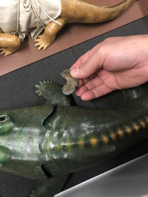 A green model of a green creature and a hand holding a small leg bone above it.