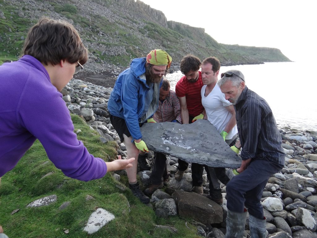 Group of people at the beach carrying large slab of rock containing fossils.