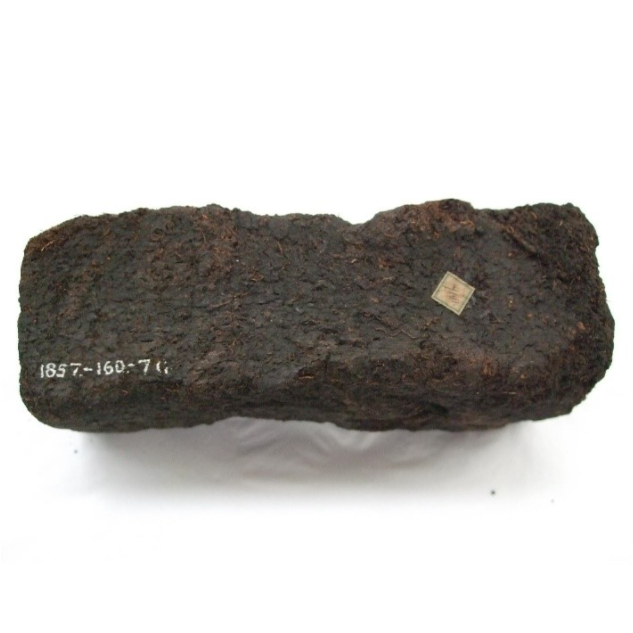 A brown piece of peat.