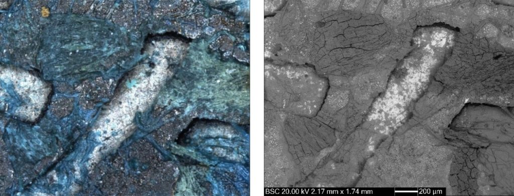 Side-by-side microscopic closeups. Left is blue, right is grey. Both show a worm-like fibre on a cracking metal surface.