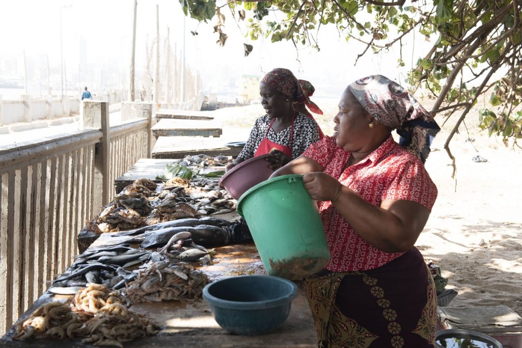 Two women wearing capulana head dresses busily prepare fish on tables to sell.