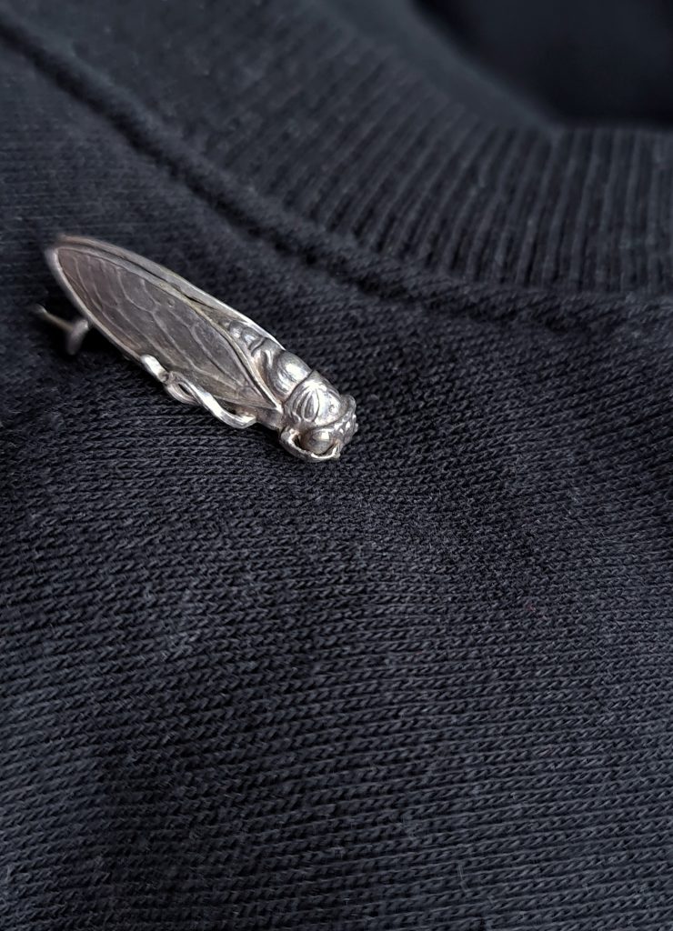 A small silver cicada pin on a black jumper.