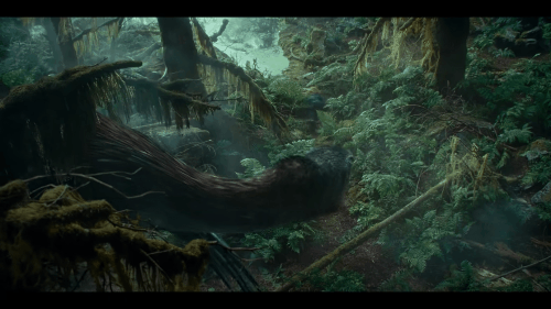 Bryce Dallas Howard's character is stalked through a jungle by a large dinosaur.