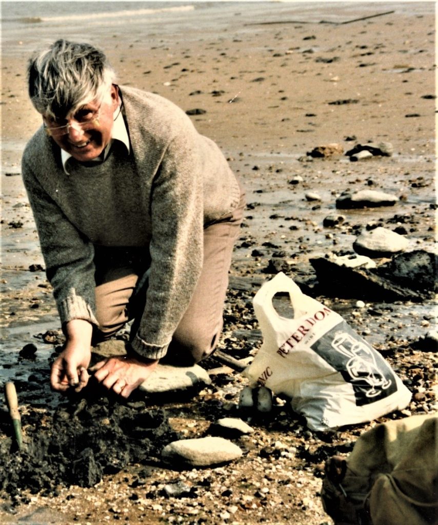 An older photo of a man on a beach looking for fossils.