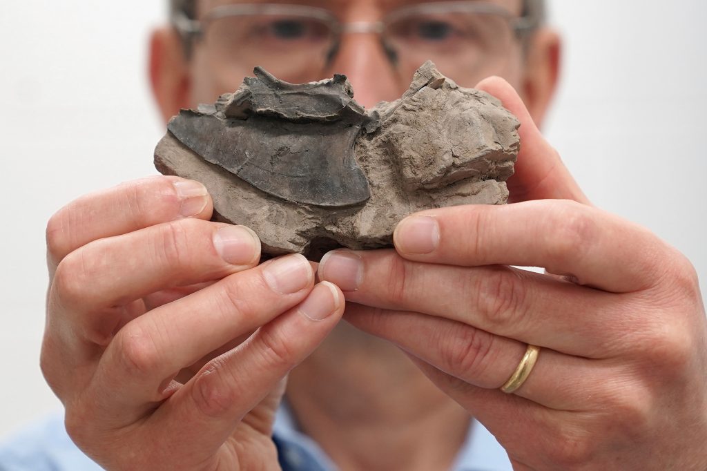 A man holds a fossil up to the camera.