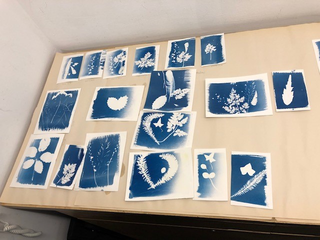 Colour photo of a display of photograms on a table.