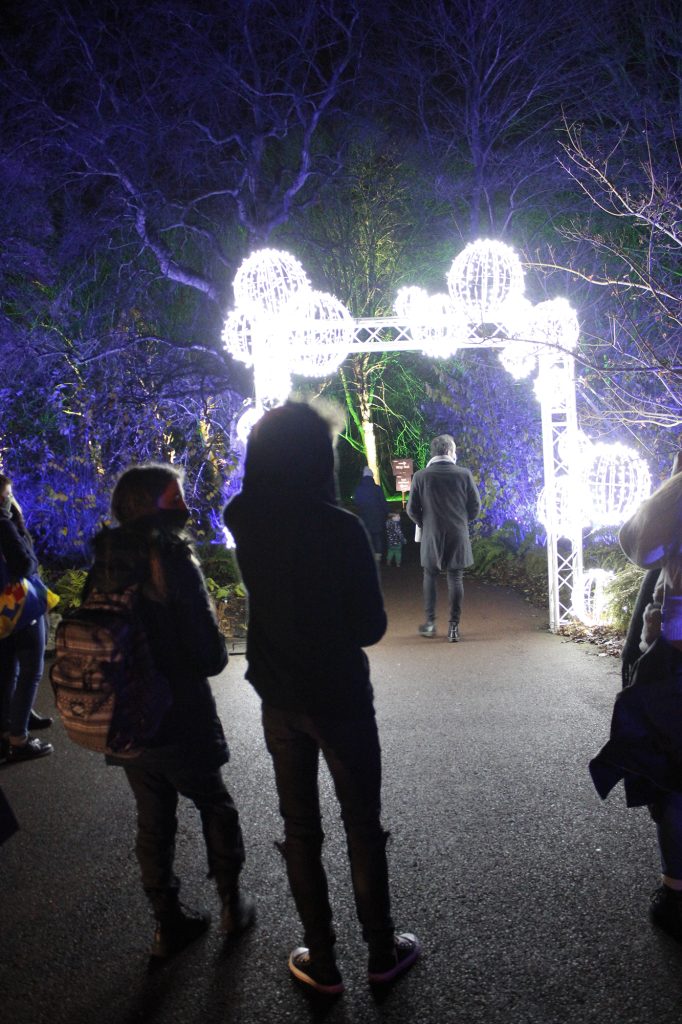 Colour photo of a group of people at a festive light display in a wooden area.