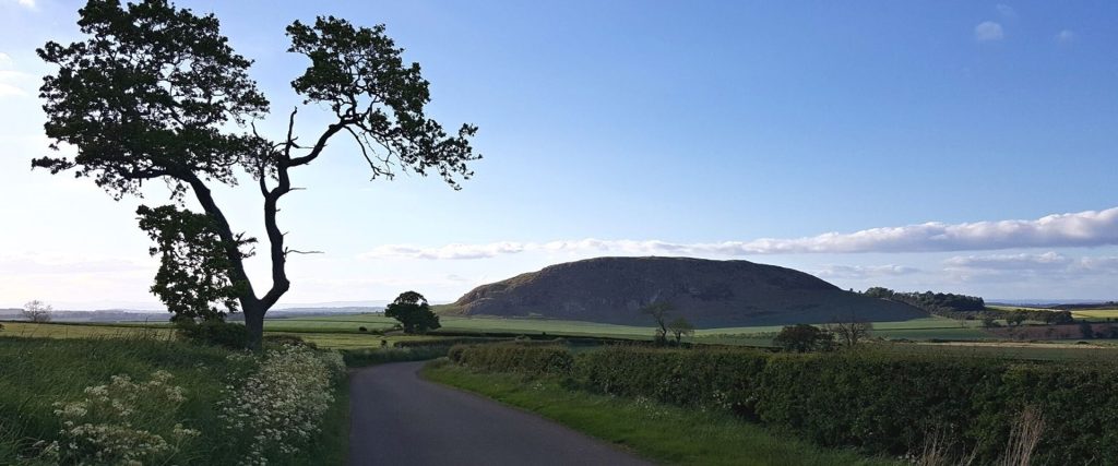 Landscape photo of a whaleback-shaped hill in the distance, surrounded by fertile green fields. A tree stands in the foreground, a road running past it towards the hill.