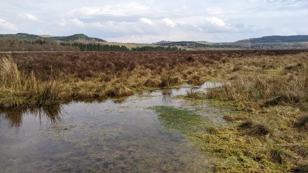 A natural pool filled with moss and long grass stands still within a vast area of boggy ground surrounded by low, stony hills.