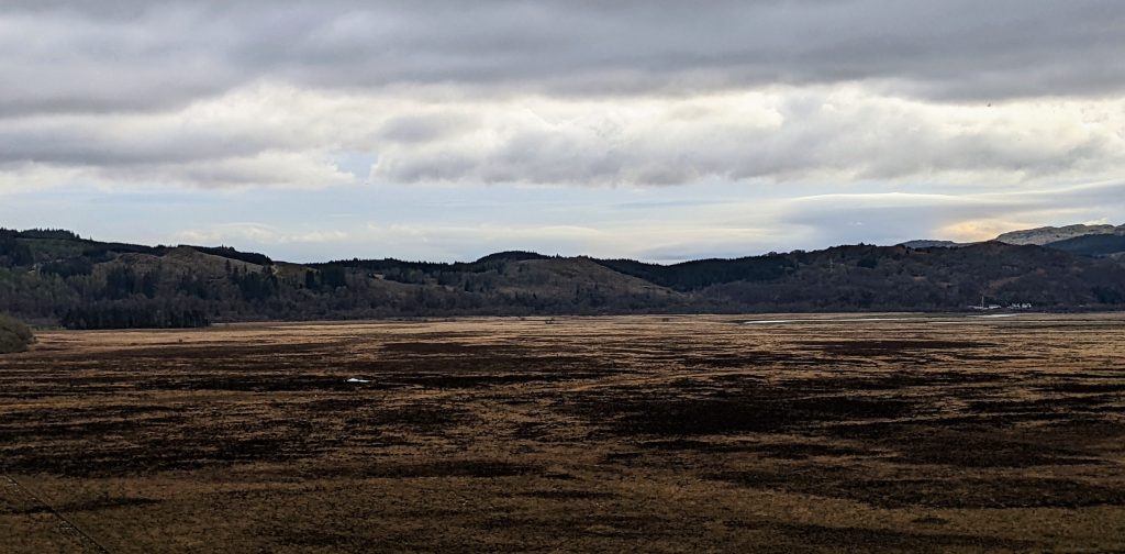 Wide view of a dark brown, brooding boggy area, with swatches of light and almost black peat and moss. Low hills form the horizon under grey clouds.