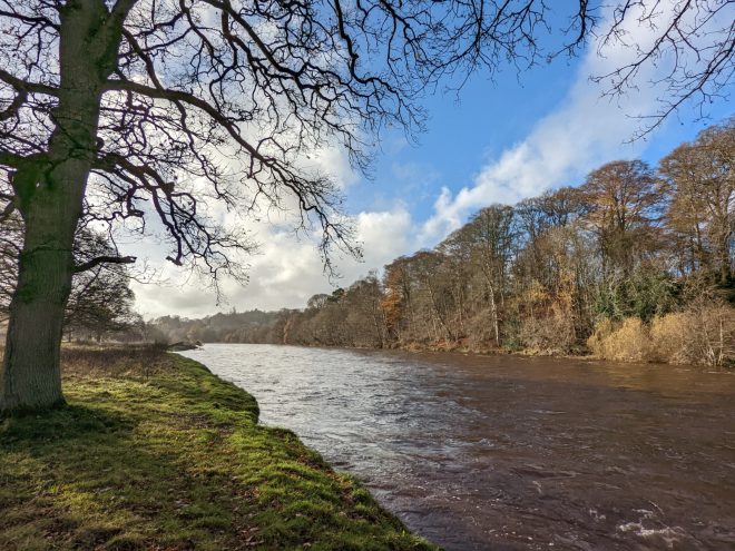 The broad but relatively shallow River Tweed flows slowly and steadily under blue skies on a winter day. Large, mostly leafless trees line the river.