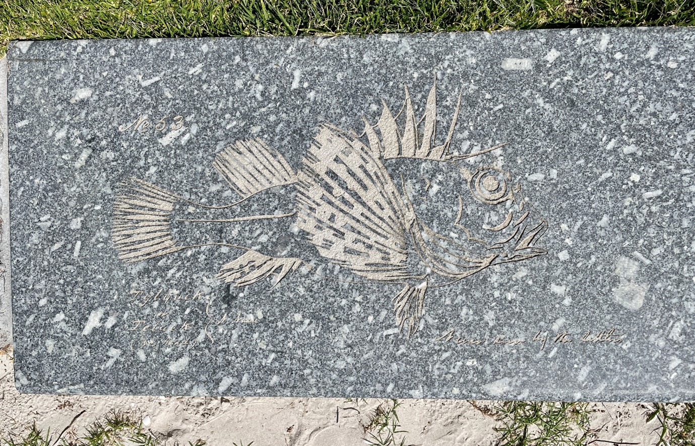 A grey stone with a pale beige engraving of a fish on it.