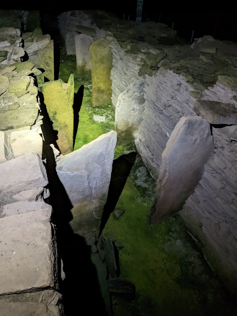 A somewhat spooky image of a passage grave lined with tall, grey stone slabs viewed from above. Darkness closes in on the borders of the image, and the tomb's floor is deep green in colour.