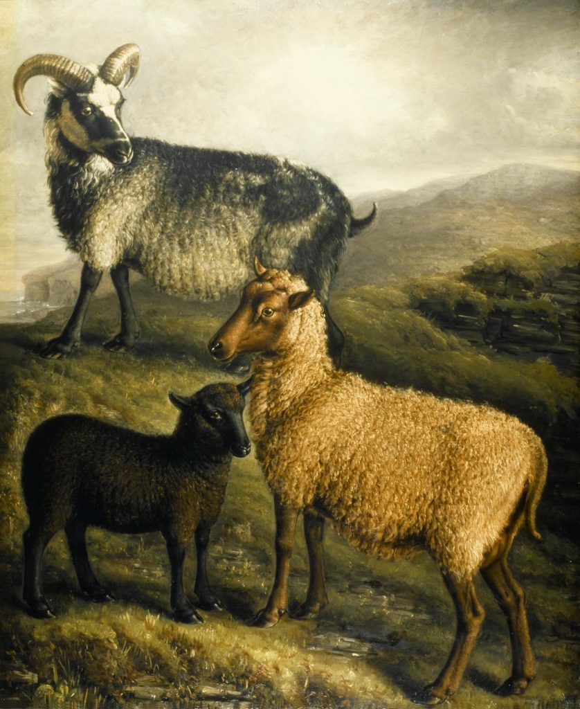 Painting of a romanticised hilly, coastal landscape under a yellow-grey sky. Three sheep take up the bulk of the image. A tiny black sheep stands at the front next to a yellow-white sheep twice its size, and a grey and white sheep with large curved horns stands on a raised hillock above them.