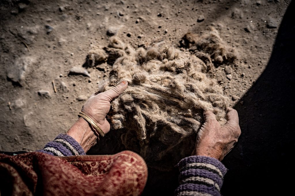 Closeup, viewed from a high angle, of a woman's hands pulling apart a tangle of wool sprinkled with dust. You can almost hear the fibres stretching.