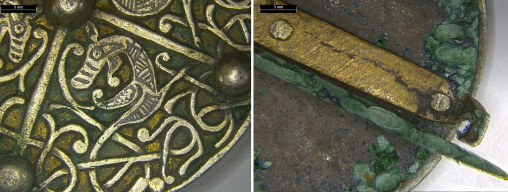 Side-by-side images of a closeup of a beast head and metal studs on the main circular brooch, and the back of the brooch showing the pin with a thick layer of green oxidised material on it.