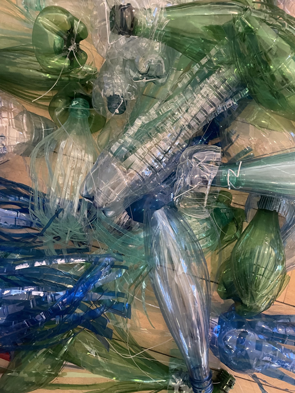Single use plastic bottles in blue and green are cut into to become transformed into jellyfish.